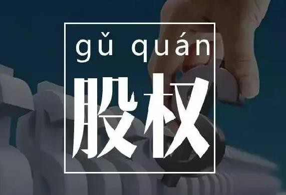 股权纠纷律师：股权纠纷有哪些种类